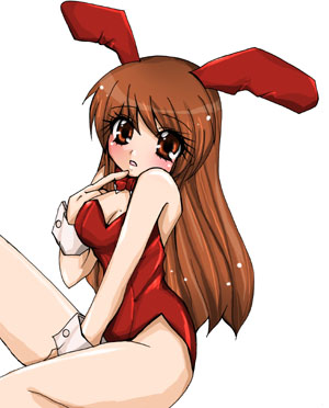 ������ver��